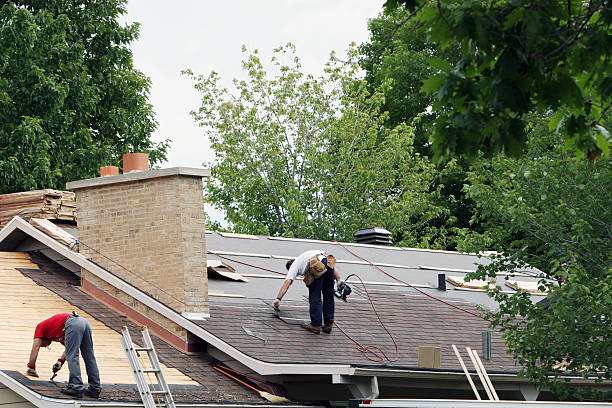 Best Roof Ventilation Installation  in Cridersville, OH